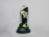 South of Brazil Award
