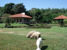 Área de ocio